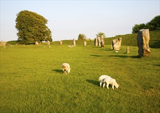 Neolithic stone circle and henge at Avebury, Wiltshire, England, United Kingdom, Europe