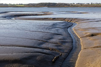 Drainage channels in mudflats at low tide River Deben estuary, Sutton, Suffolk, England, UK