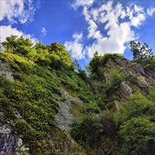 Very steep, partially overgrown rock face with a view upwards into the sky, Vianden, Canton of