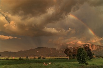 Evening mood with clouds and rainbow over mountains, summer, Loisach-Lake Kochel-Moore, view of