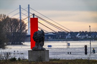 Flood on the Rhine near Duisburg, Rhine bridge Neuenkamp, old and new construction, landmark Rhine