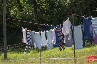 Laundry dries on the line in a garden, in summer