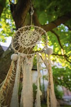 Detailed view of a dreamcatcher hanging from a tree in a well-lit garden, Harz Mountains, Germany,