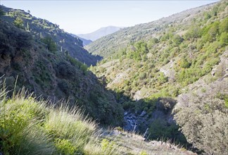 Landscape of the River Rio Poqueira gorge valley, High Alpujarras, Sierra Nevada, Granada Province,