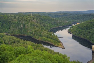 Natural panorama of a wooded valley with a meandering river and green hills, Rappbodetalsperre,