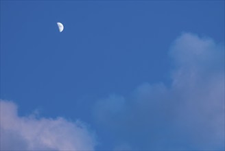 The waxing crescent moon stands bright in a deep blue evening sky with cumulus clouds illuminated