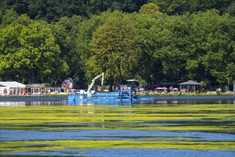 Mowing boat Nimmersatt, of the Ruhrverband, tries to keep the green plant carpet on the Lake