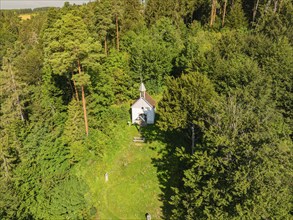 A small chapel stands surrounded by trees in a densely wooded area, Gundringen, Nagold, Black