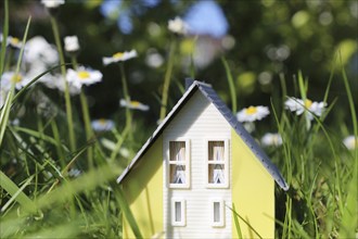 Symbolic image: Model house in a lush meadow with daisies