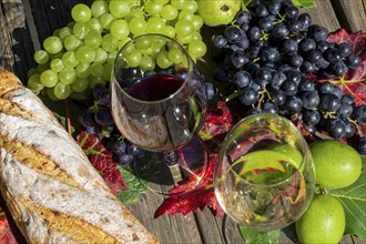 Symbolic image of grape grape harvest: Ripe grapes decorated with wine glasses on a wooden table