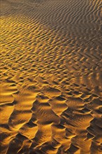 Sand structure formed by the wind, in the Rub al Khali desert, Dhofar province, Arabian Peninsula,