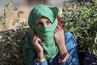 Portrait, Berber woman, traditional clothing, carrying olive branches, Morocco, Africa