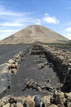 Volcano cone and black volcanic soil farmland, near Tinajo, Lanzarote, Canary Islands, Spain,