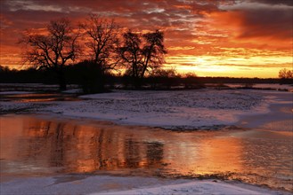 Winter floods 2024 on the Elbe and Mulde rivers with flooding of the meadows, ice on the meadows