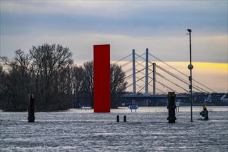 Flood on the Rhine near Duisburg, Rhine bridge Neuenkamp, old and new construction, landmark Rhine