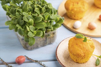 Homemade cakes with chocolate eggs and borage microgreen on a blue wooden background. side view,