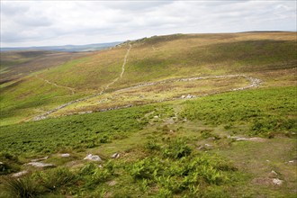 The late Bronze age enclosed settlement site of Grimspound, Dartmoor national park, Postbridge,