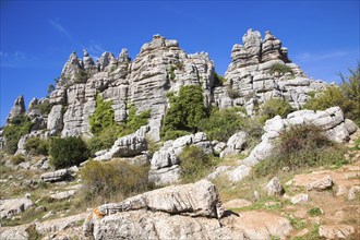 Dramatic limestone scenery of rocks shaped by erosion and weathering at El Torcal de Antequera