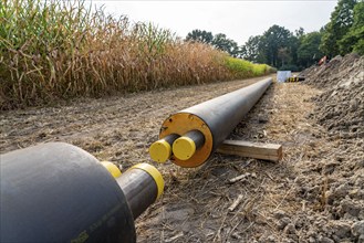 Laying of district heating pipes, next to a field, with maize, the district heating comes from a