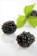 Black blackberries, clipping, fruit, fruits, studio