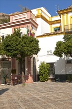 Hotel Palacio Alcazar in historic buildings, Plaza de la Alianza, Seville, Spain, Europe