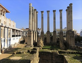 Columns of Roman temple remains, Templo Romano, Cordoba, Spain, Europe