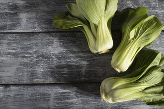 Fresh green bok choy or pac choi chinese cabbage on a gray wooden background. Hard light, contrast.