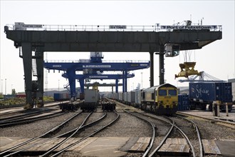 Rail freight terminal, Port of Felixstowe, Suffolk, England, UK