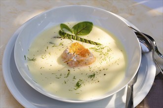 Southern German cuisine, sorrel soup with char, freshwater fish, soup arranged in a plate, herbs,