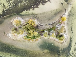 Aerial photograph, top down view of an island in a shallow water zone in Lake Constance,