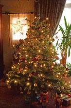 Europe, Germany, Christmas tree, Christmas tree in living room, Christmas, traditional tree