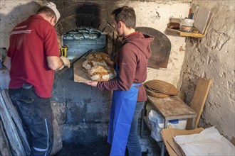 Freshly baked wood-fired bread is taken out of the wood-fired oven, baking oven festival in