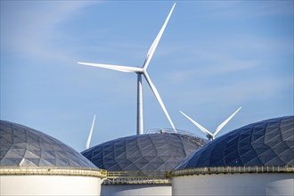 Vopak tank terminal in the industrial harbour of Eemshaven, wind farm, Groningen, Netherlands