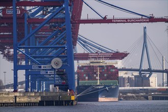 HHLA Container Terminal Burchardkai, in Waltershof harbour, HMM Nuri container freighter, Köhlbrand