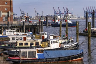 The Övelgönne district of Othmarschen, on the Elbe, museum harbour, historic ships and boats, in