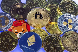 Various cryptocurrencies, symbol coins, optical placeholder for the digital currency, blockchain,