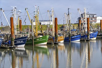 Fishing boats, shrimp boats in the harbour of Norddeich, Lower Saxony, Germany, Europe