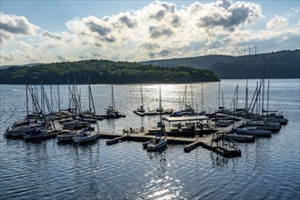 Lake Rursee, reservoir in the Eifel National Park, north-east bank near Heimbach, near the Rur dam