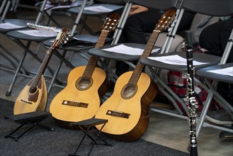 Musical instruments, at a concert, guitars, ukulele