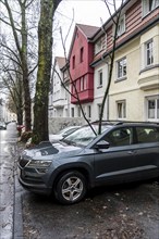 North Rhine-Westphalia, Germany, storm damage, a good 4 metre long branch was broken off by the