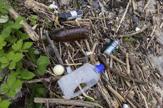 Symbolic image Environmental pollution, plastic waste, rubbish, flotsam from a flood on the Neckar