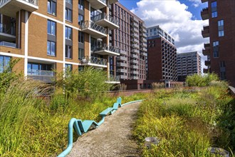 De Groene Kaap residential complex, in the Rotterdam Feijenoord district, on the Maashaven,