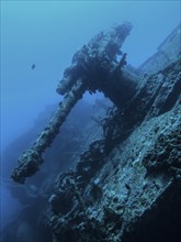 Anti-aircraft gun at the stern, wreck of the Thistlegorm, Red Sea, Egypt, Africa