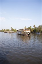 Traditional houseboats on a canal in the canal system of the backwaters, Kerala, India, Asia