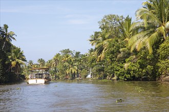 Traditional shikara boat on a canal in the canal system of the backwaters, Kerala, India, Asia