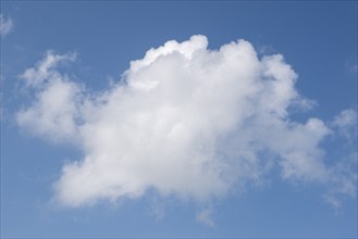 Cumulus cloud in the sky, Nordfriesland, Schleswig-Holstein, Germany, Europe