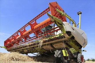 Grain harvesting with combine harvester (Ludwigshafen, Germany)