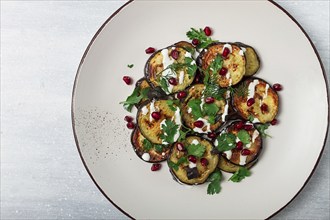 Fried eggplant, with white sauce, pomegranate seeds, top view, no people