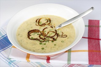 Swabian cuisine, green spelt soup, healthy, vegetarian, regional, soup served in a bowl, home