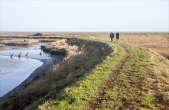 Two people walking on coastal defence wall at Shingle Street, Suffolk, England, United Kingdom,